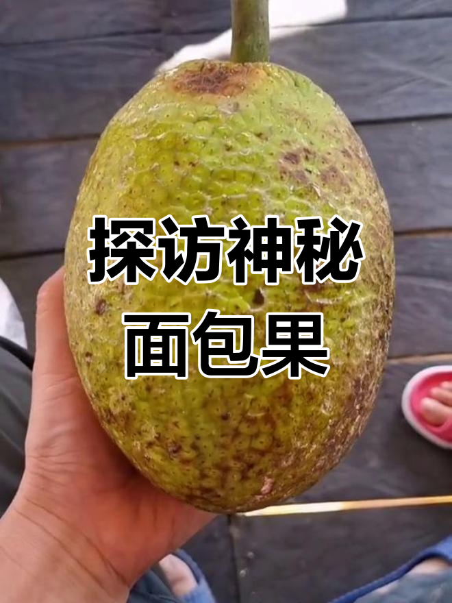 马来西亚面包果大揭秘,炸熟后像极了软面包