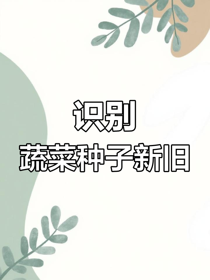 如何辨别蔬菜种子新旧,挑选优质新种子的技巧