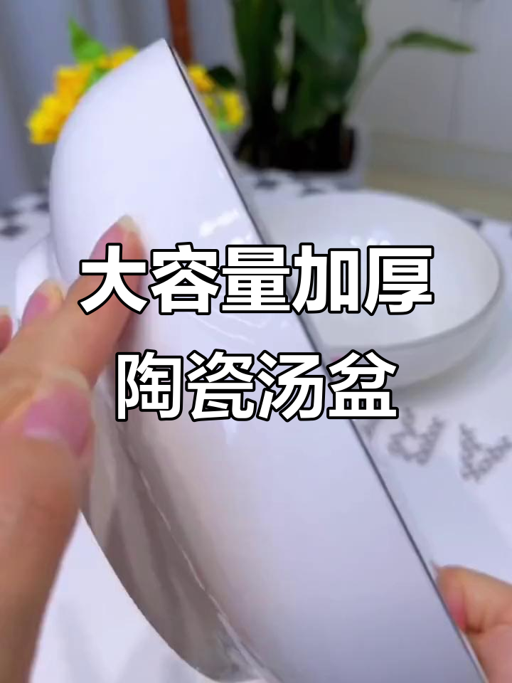 超大容量陶瓷汤盆,微波炉烤箱都能用,超值两碗才十元