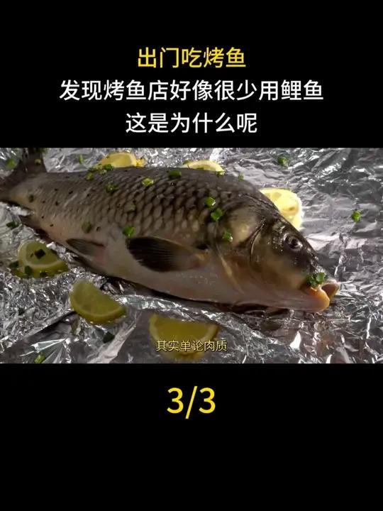 出门吃烤鱼,发现烤鱼店好像很少用鲤鱼,这是为什么呢