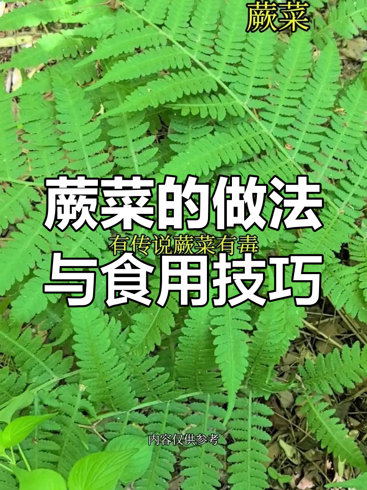 山野菜蕨菜的独特做法,凉拌炒吃都美味