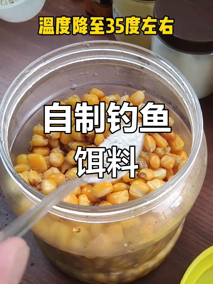 发酵玉米钓草鱼技巧,掌握最佳制作方法
