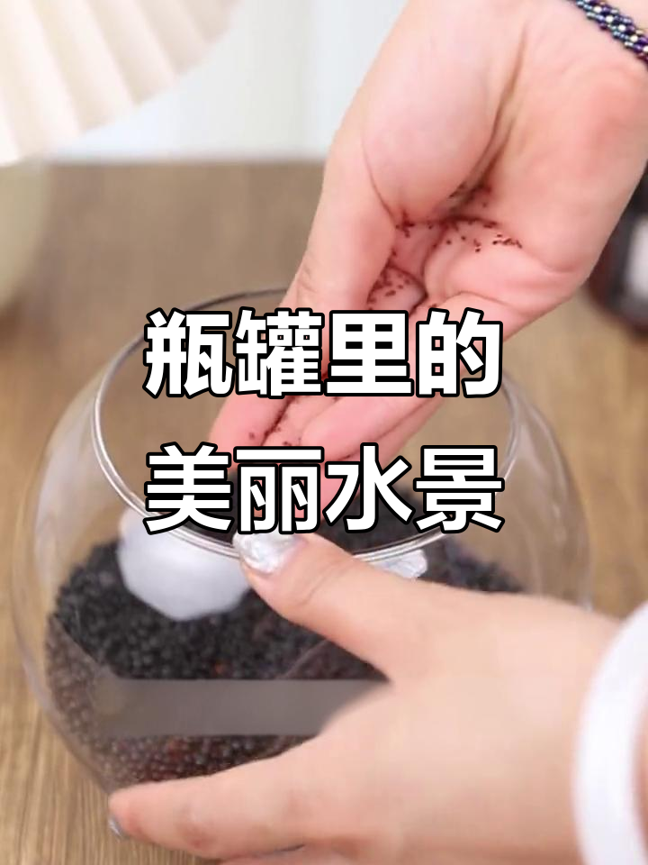 用瓶罐打造水草微景观,简单又美观