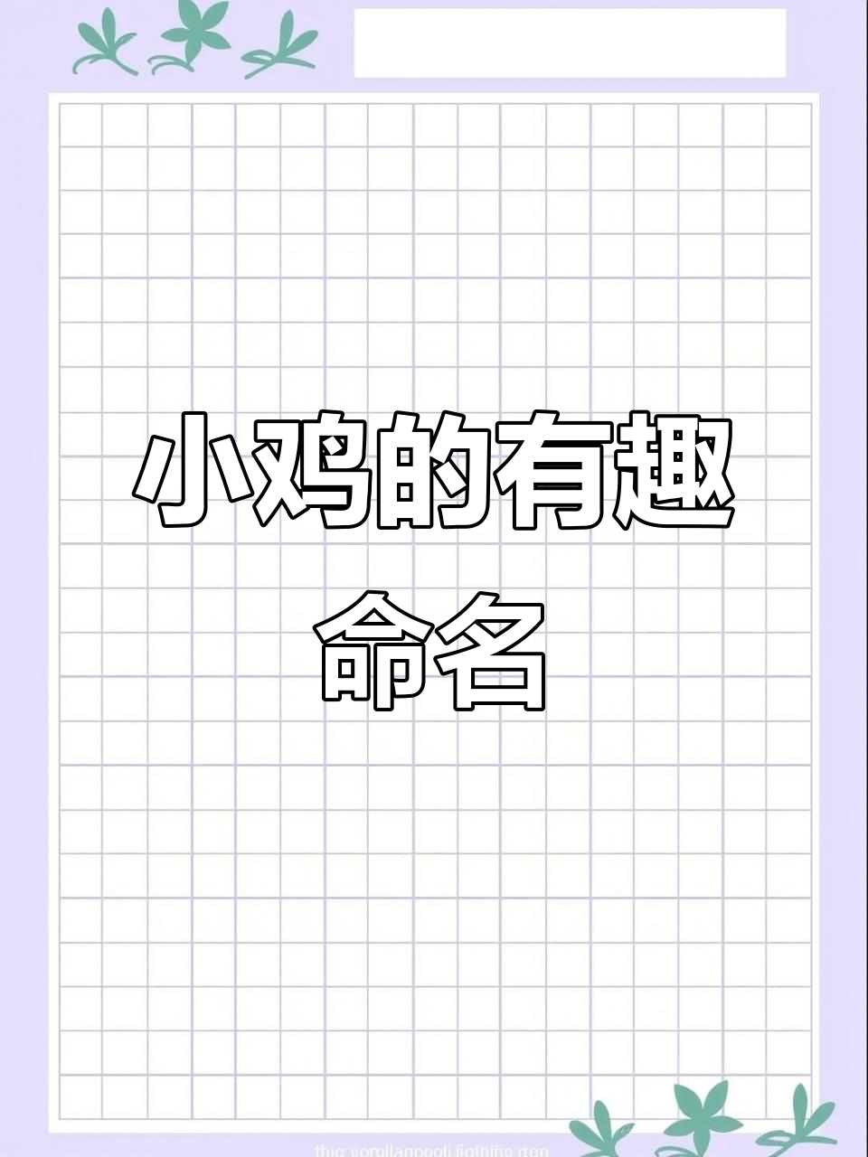 前进小鸡初到新家,胆小后退却成了它的可爱名字