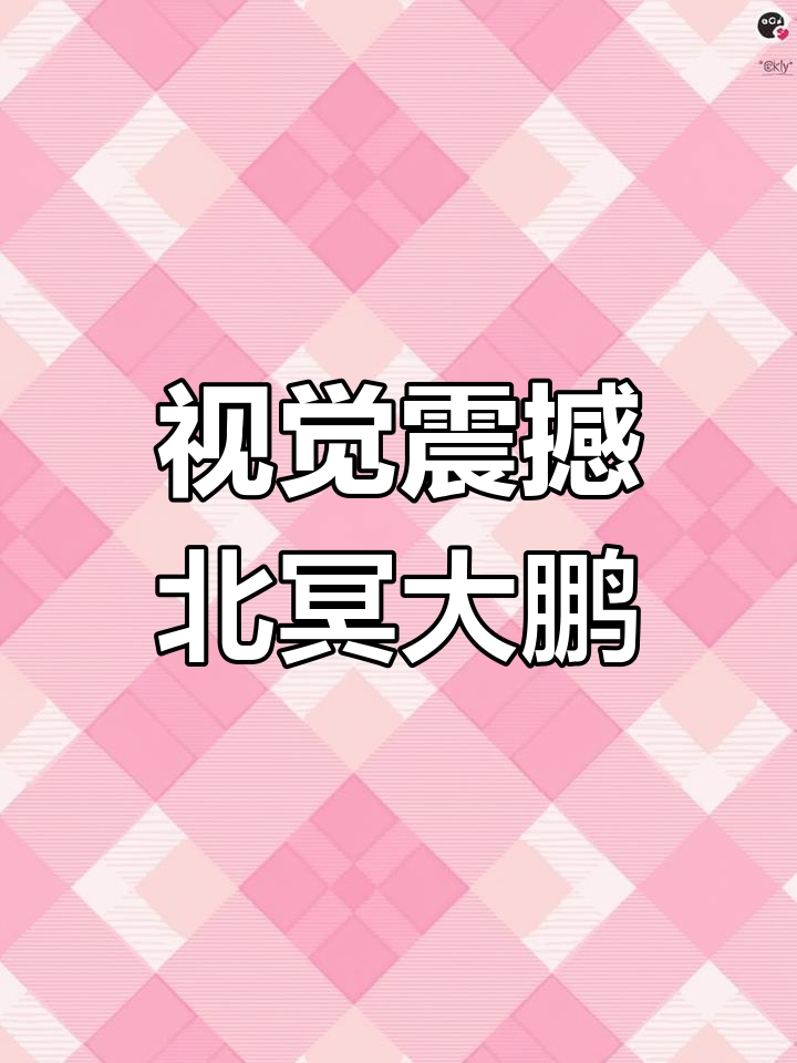 北冥有鱼,鲲之大也!高清壁纸震撼来袭