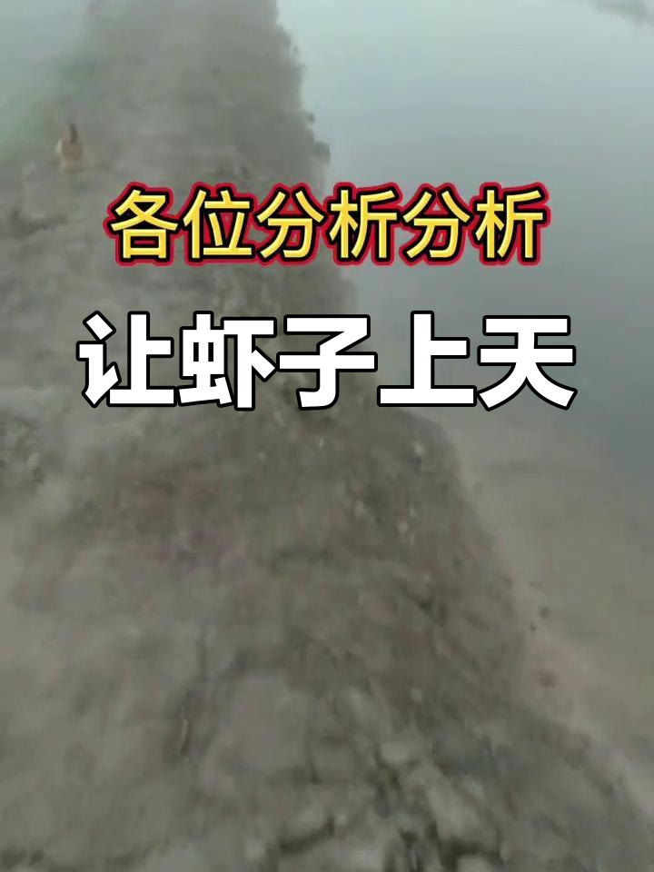 为什么虾子不上田?