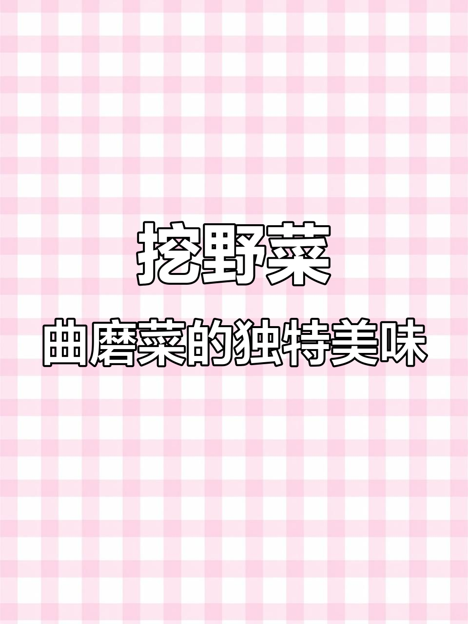 野生曲磨菜,苦而不实,吃上一口停不下来