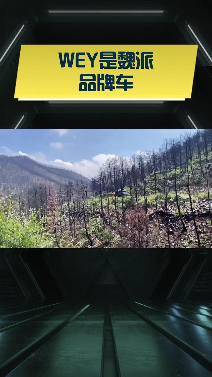 WEY是魏派品牌车