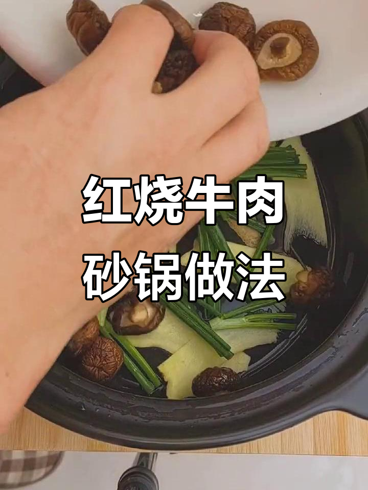 砂锅红烧牛肉,懒人也能轻松做!