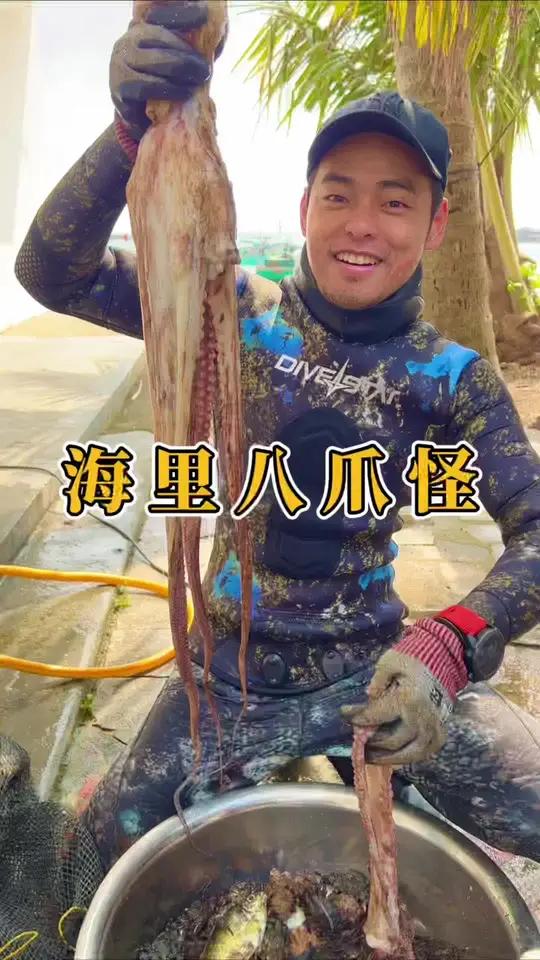 今天运气爆棚,赶海捕获一条八爪怪,简简单单的全鱼盛宴安排