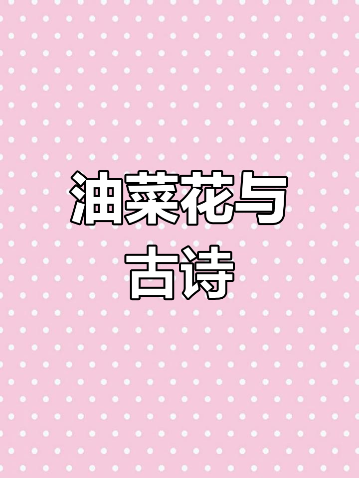 油菜花开,古风诗词之美