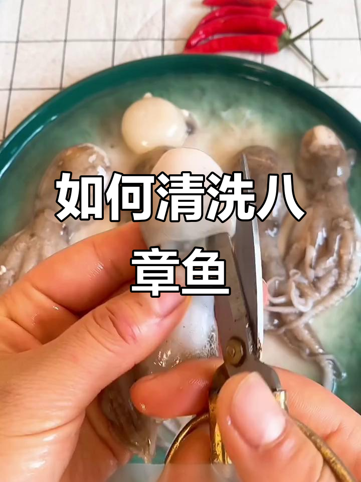 八爪鱼处理技巧大揭秘,轻松去除内脏和墨囊