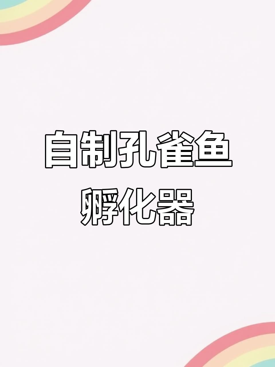 升级版孔雀鱼孵化盒,简单又实用