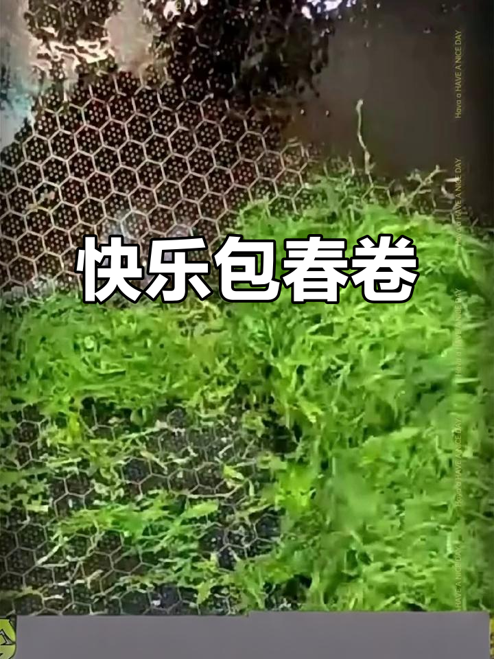 闽南特色春卷,快乐包起来!