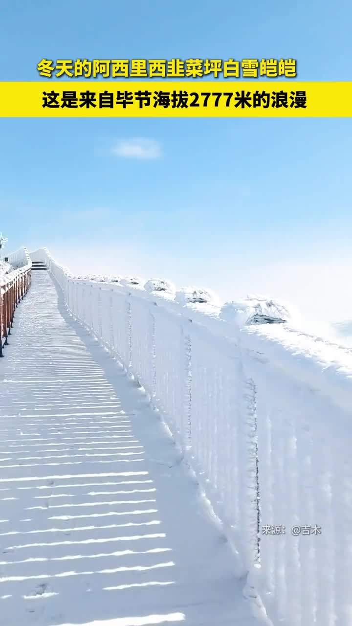 冬天的阿西里西韭菜坪白雪皑皑,这是来自毕节海拔2777米的浪漫