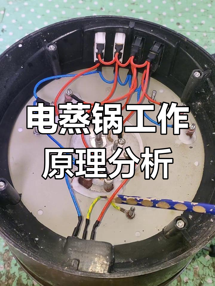 电蒸锅内部线路揭秘:如何实现自动断电与加热控制