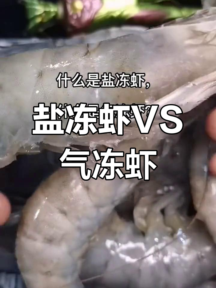 盐冻虾与气冻虾的区别解析