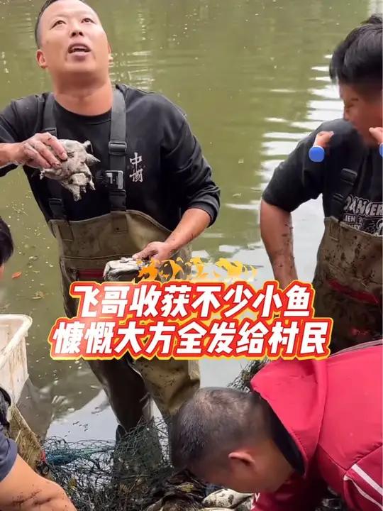 42000块包下的40年未干的老鱼塘里飞哥收获不少小鱼,慷慨大方全发给村民 小飞哥 户外抓