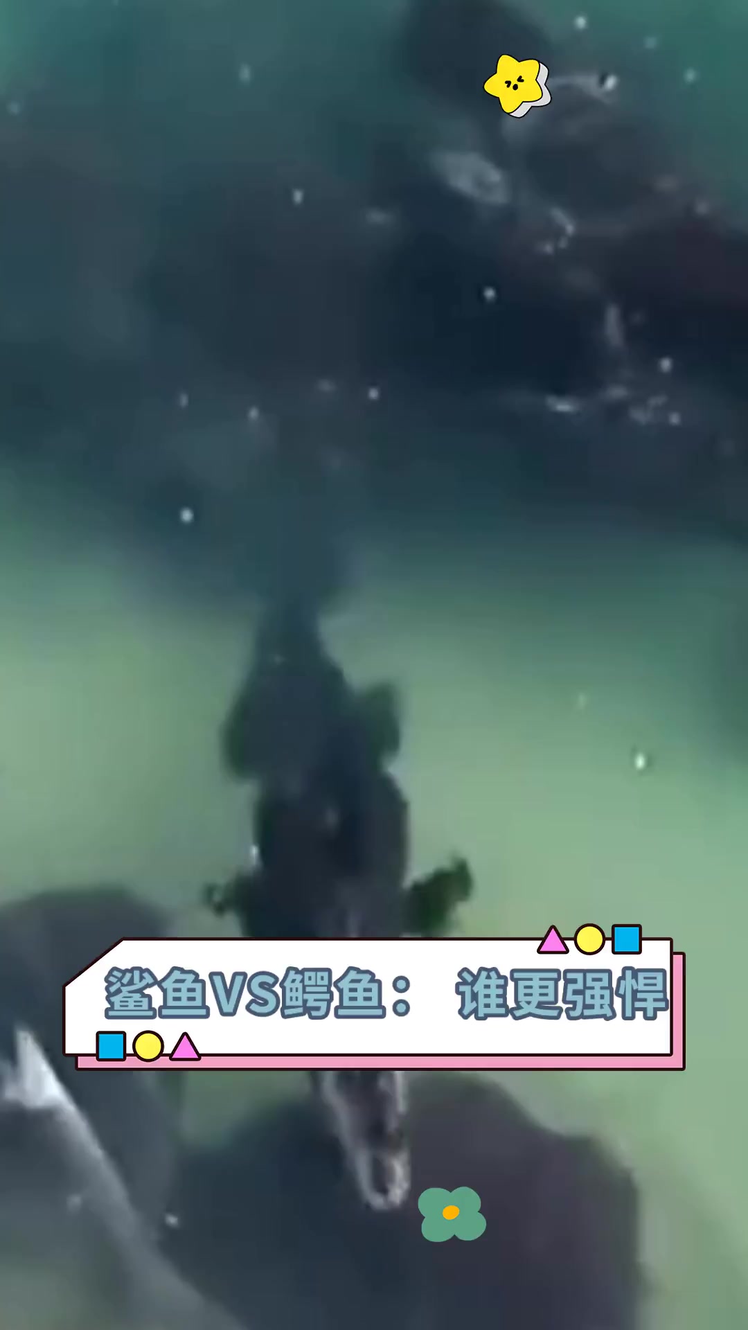 鲨鱼VS鳄鱼:谁更强悍
