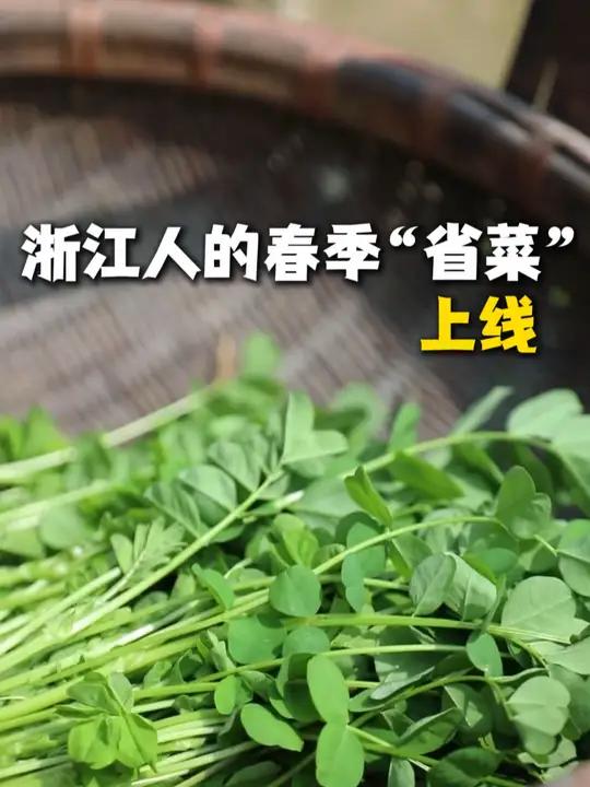 草籽炒年糕,浙江人的春日限定美食!(来源:宁海传媒集团、宁波广电集团)