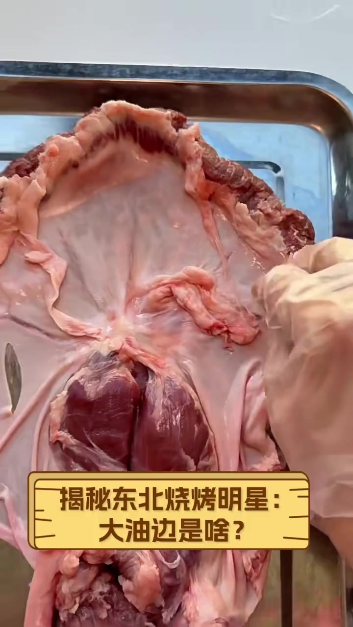 揭秘东北烧烤明星:大油边是啥?