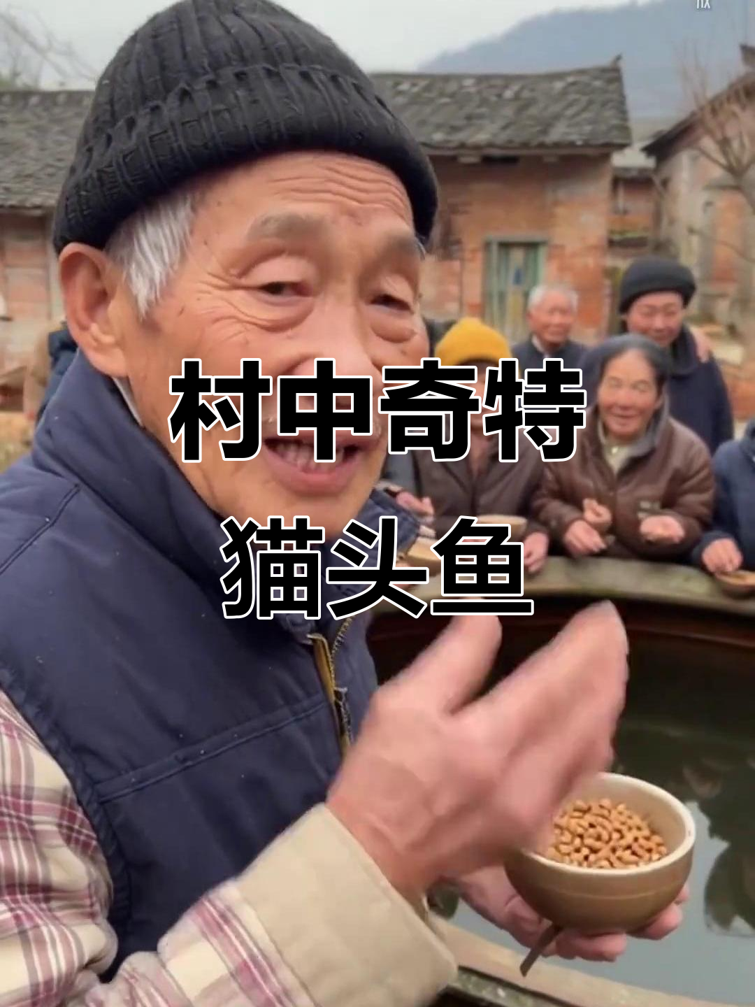 村里这只猫头鱼尾萌宠,三年长成大缸里的“神奇宝贝”