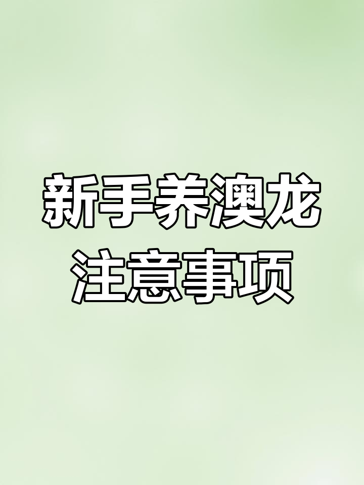 澳洲淡水龙虾养殖新手必知技巧,轻松入门!