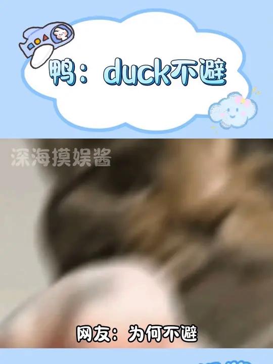 鸭:duck不避