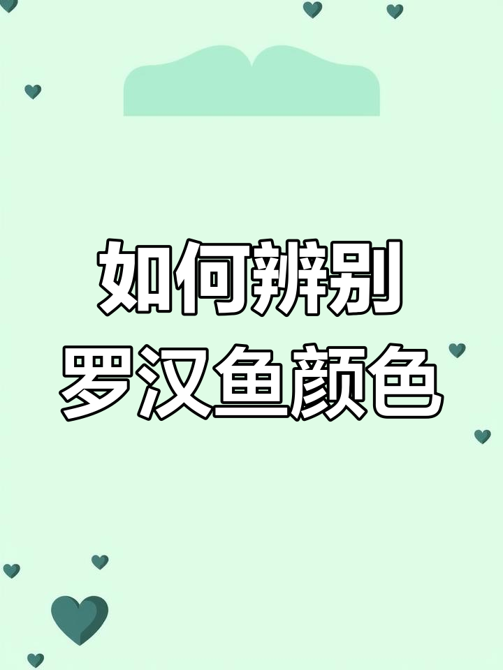 罗汉鱼颜色差异问题,如何识别商家调色
