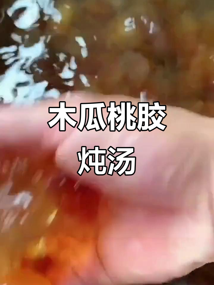 木瓜炖桃胶,滋补美容的完美搭配