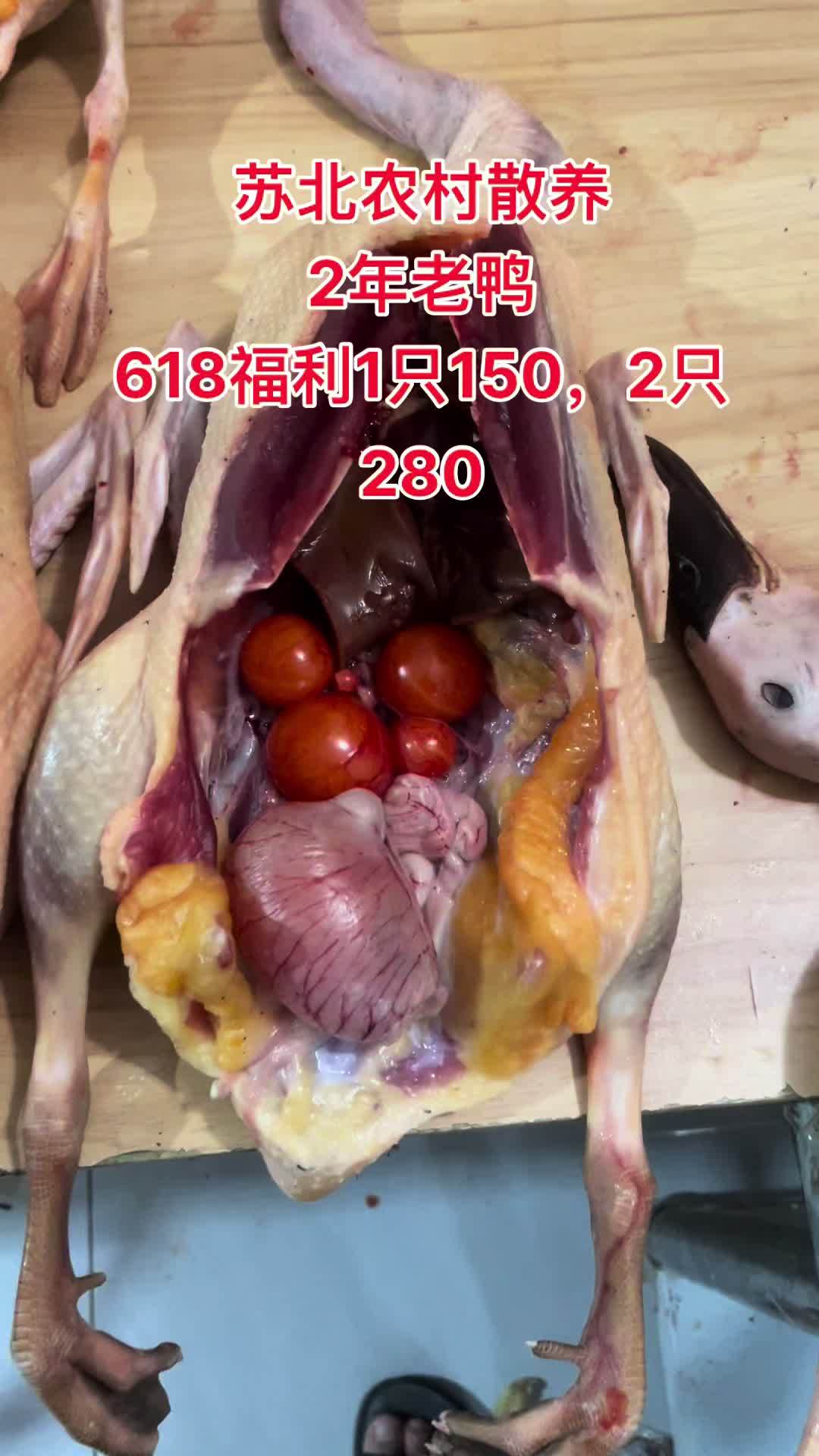618福利2年老麻鸭1只150,2只280 苏北农村 老鸭 老鸭汤 618 618抖音好物