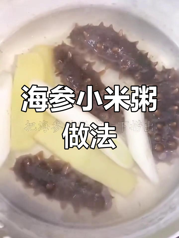 30秒教你做海参小米粥