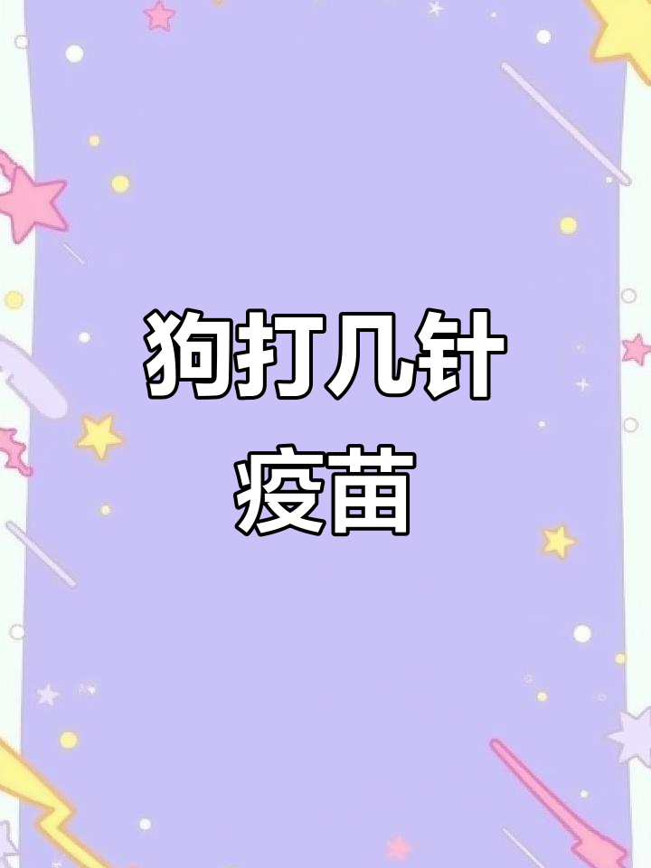 狗狗疫苗接种全攻略:三针+狂犬,如何正确打针?