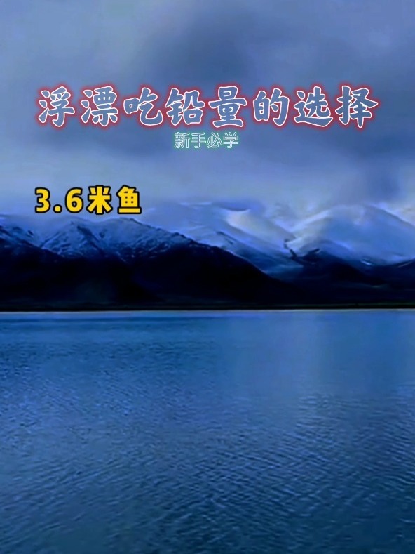 新手必学浮漂吃铅量的选择