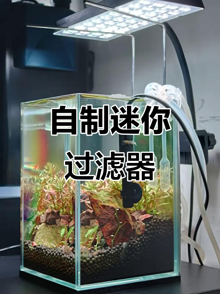 30元DIY迷你鱼缸过滤桶,超简单教程来啦!