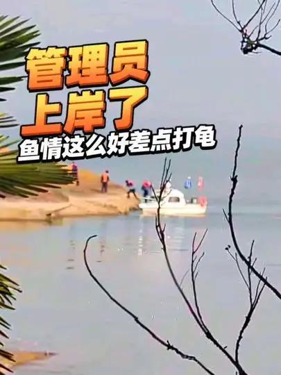 这么好的鱼情我差点打龟怎么回事#路亚美夏长江一号路亚跑毒