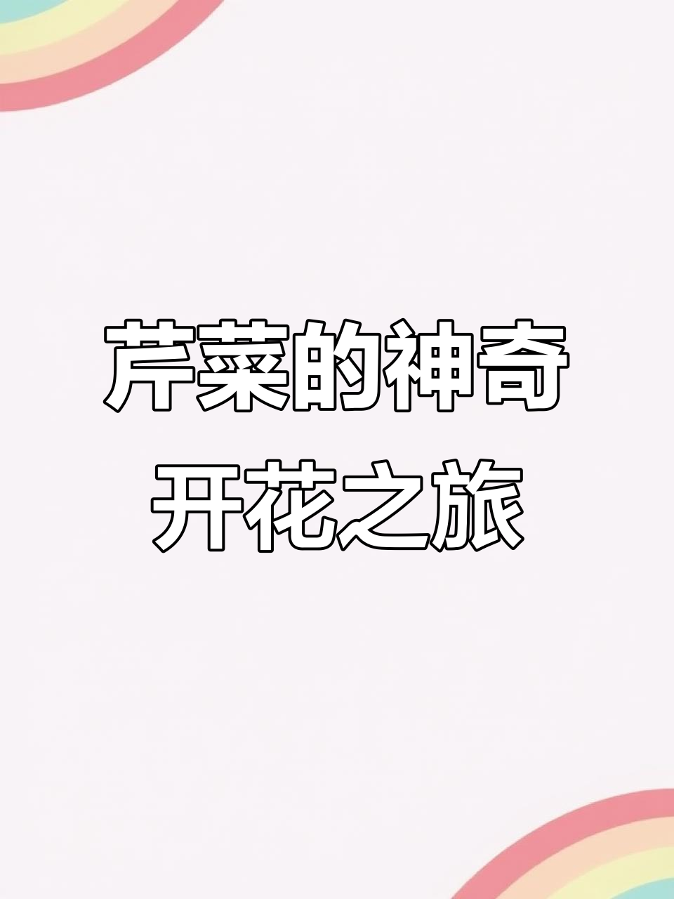 芹菜开花全过程,17天水培到花开惊艳!