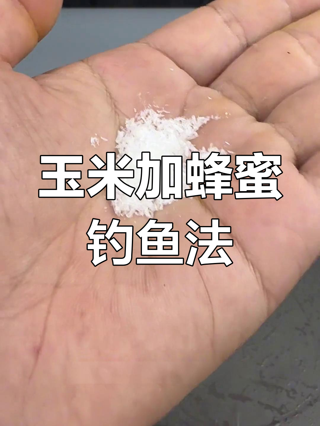 玉米蜂蜜钓鲤鱼,草鱼翘嘴一网打尽