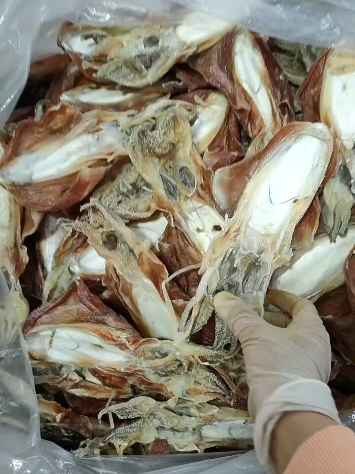 墨鱼是贝类,亦称乌贼鱼、墨斗鱼、目鱼等