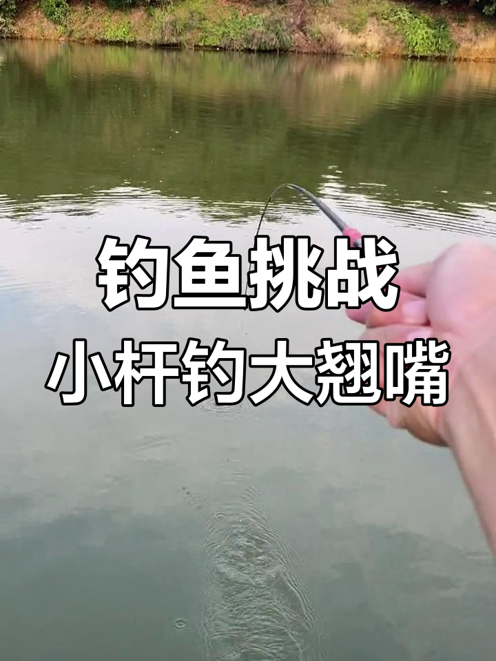 小河虾挑战大翘嘴,小竿子能否钓起米级鱼?