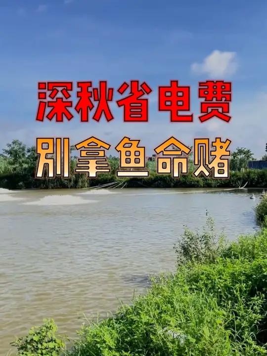 养鱼人必看!深秋增氧机开不对 = 白花钱还害鱼,5 个关键技巧收好!