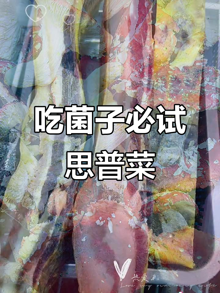 云南野生菌大揭秘,思普菜让你停不下来