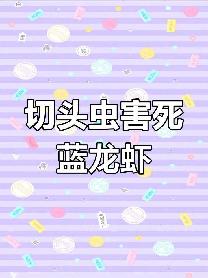 澳洲淡水龙虾养殖难题?切头虫是罪魁祸首!
