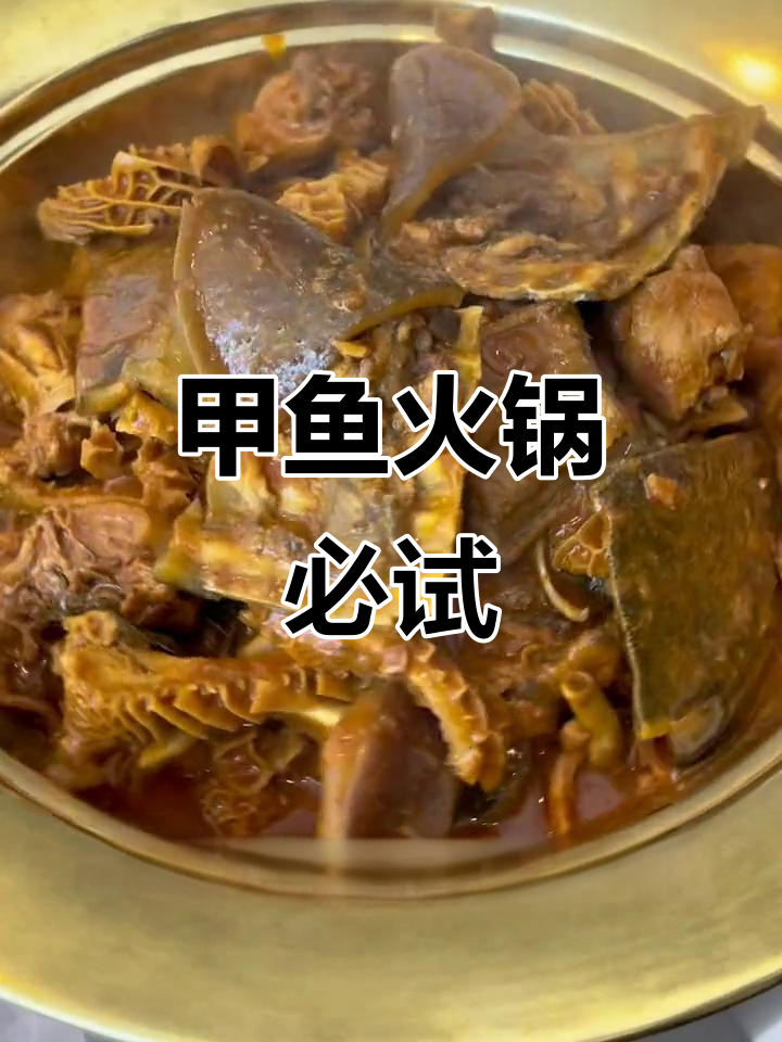 甲鱼肉质鲜嫩,火锅必备美味!专家说:不拿下帅哥容易老