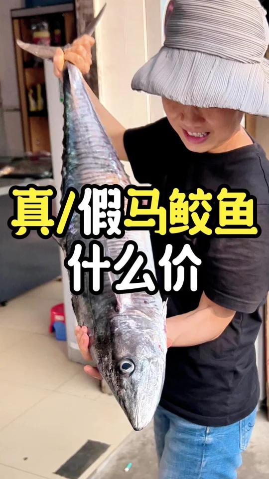 选马鲛鱼,存好这份避坑指南