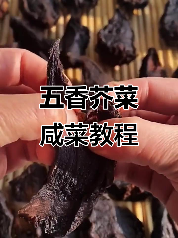 五香芥菜干咸菜的独特做法,晒两天就能吃