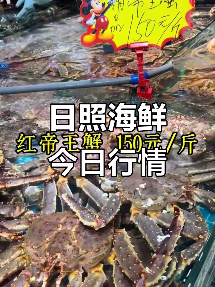 9月29日日照石臼海鲜市场价揭秘,梭鱼到蟹一应俱全
