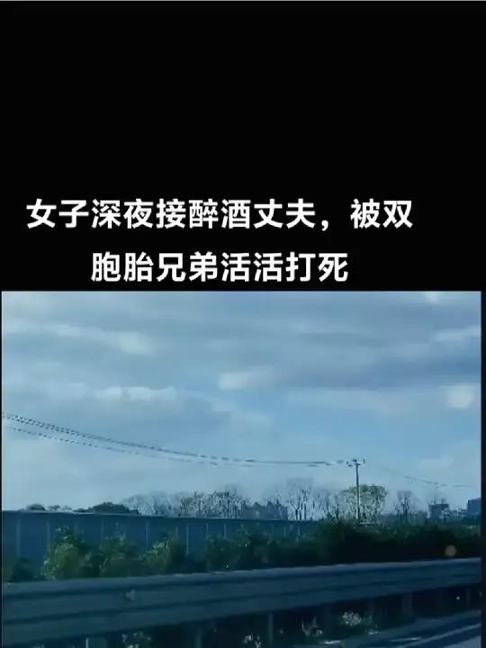 一天夜晚,一对双胞胎兄弟带着女友在街上闲逛,在路边遇到一位接醉酒丈夫回家的女子,他们突发奇