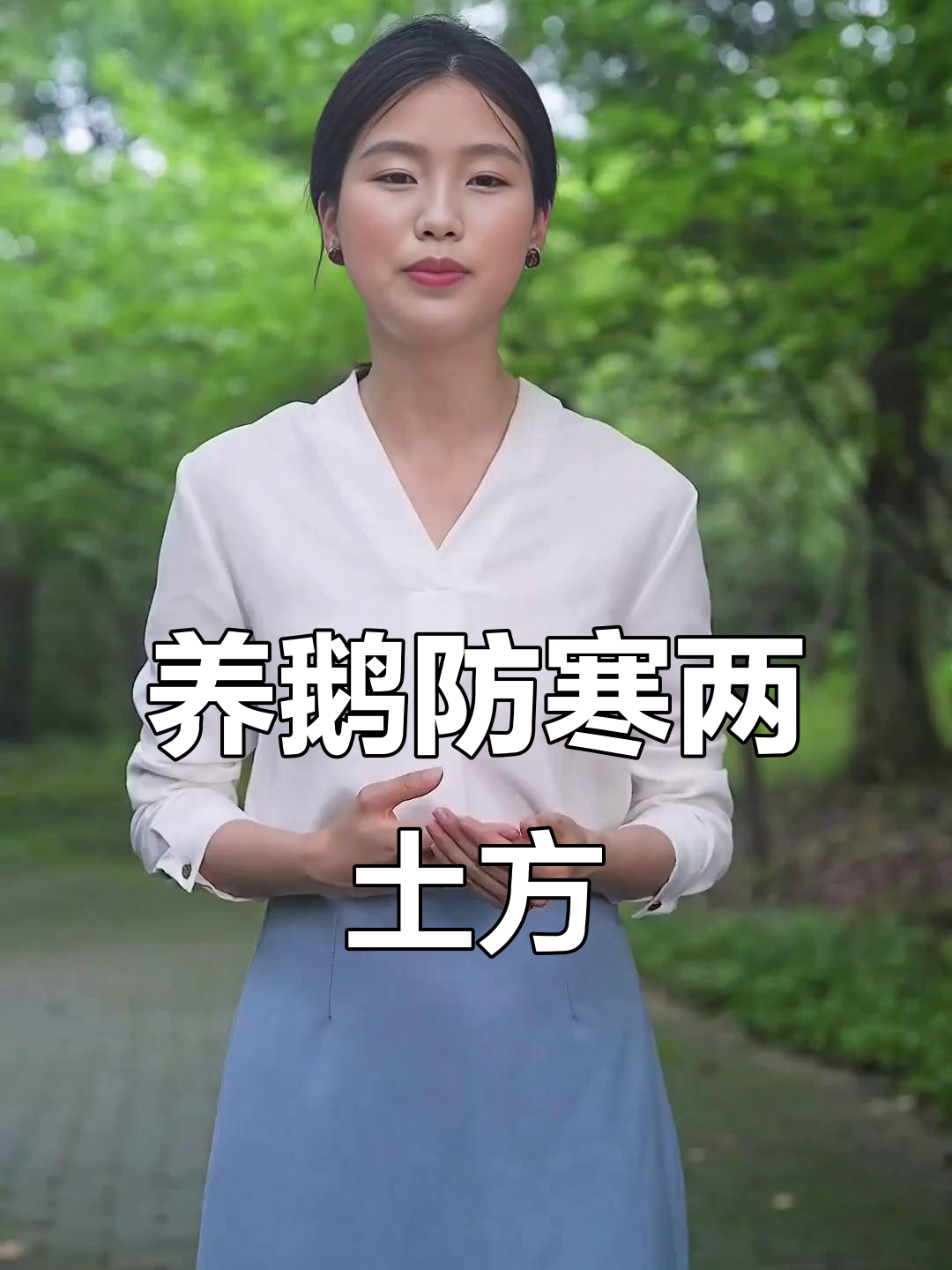 冬季养鹅小妙招:艾草生姜预防风寒,紫苏叶缓解呼吸道问题