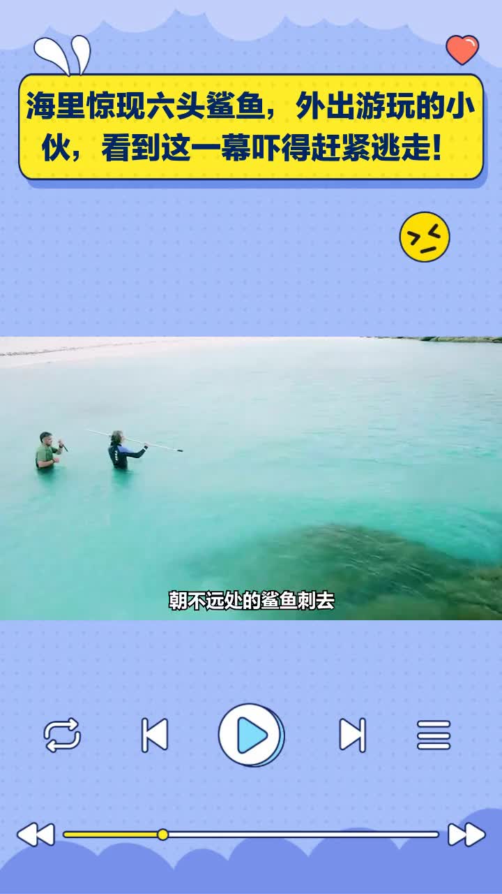 海里惊现六头鲨鱼,外出小伙见状吓得赶紧逃走!